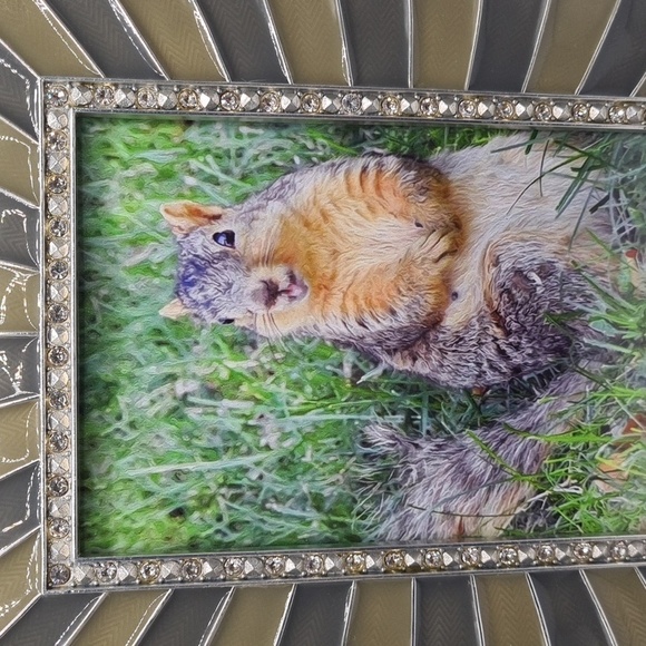 Embellished Sunburst Framed 4x6 Happy Cute Squirrel Photography Print - Picture 4 of 9